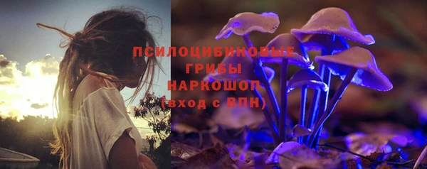 мет Аркадак