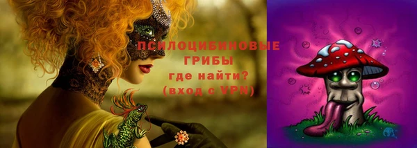 spice Армянск