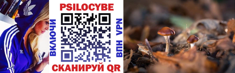 магазин продажи наркотиков  ссылка на мегу ссылки  Псилоцибиновые грибы Cubensis  Свирск 